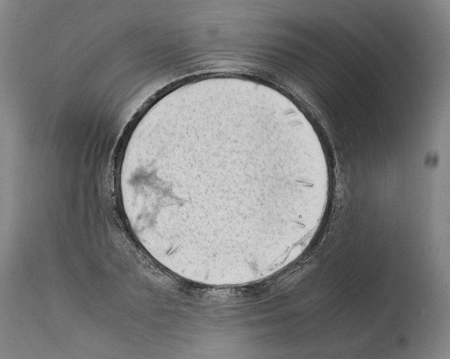 X0000112370883200909241147