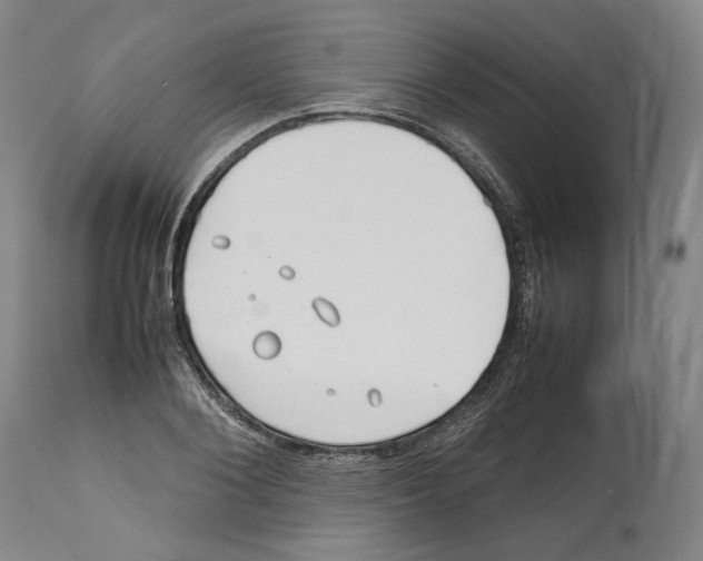 X0000112370884200909241147