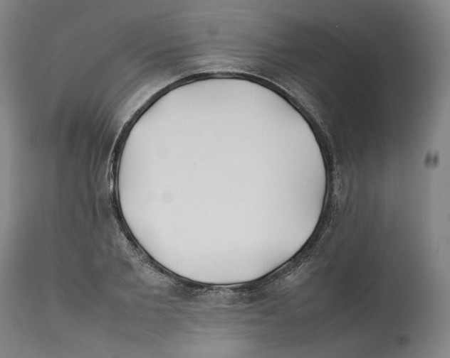 X0000112370885200909241147