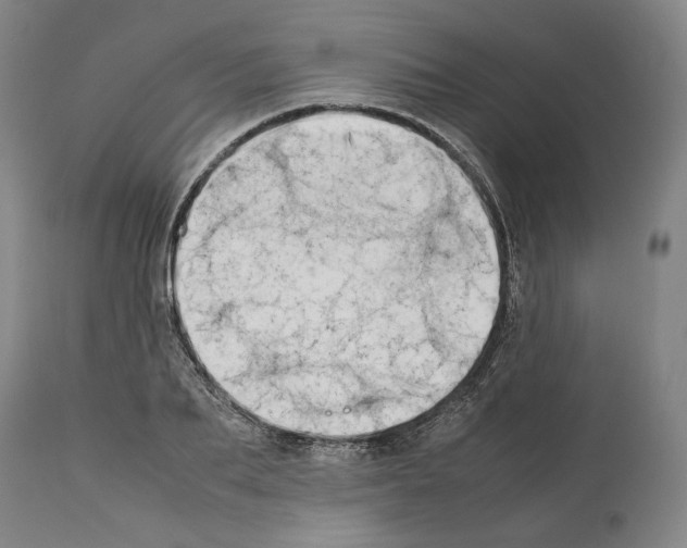 X0000112370887200909241147