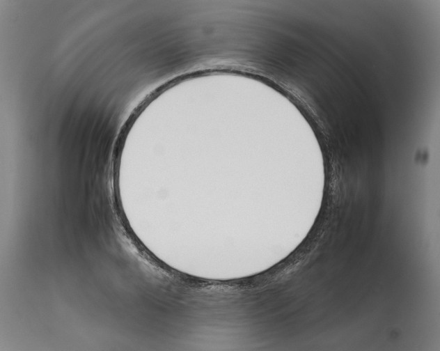 X0000112370888200909241147