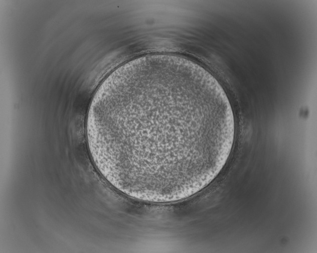 X0000112370889200909241147