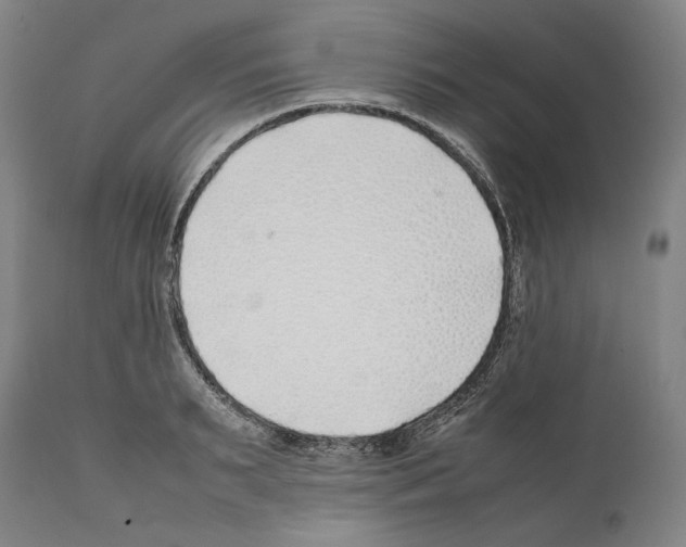 X0000112370895200909241147