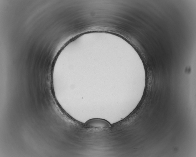 X0000112370896200909241147