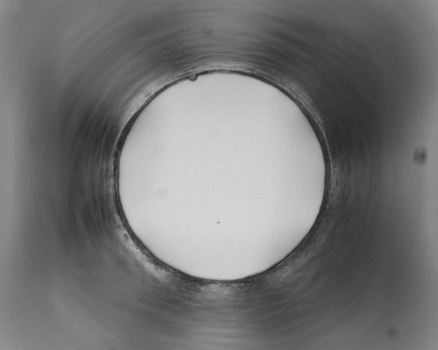 X0000112370898200909241147
