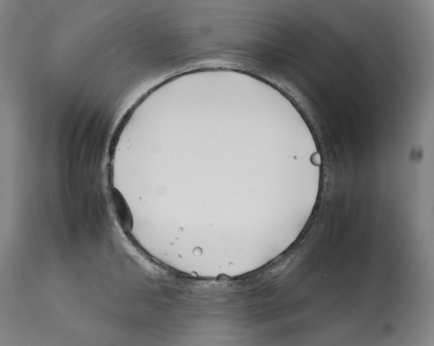 X0000112370902200909241147