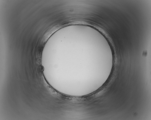 X0000112370905200909241147