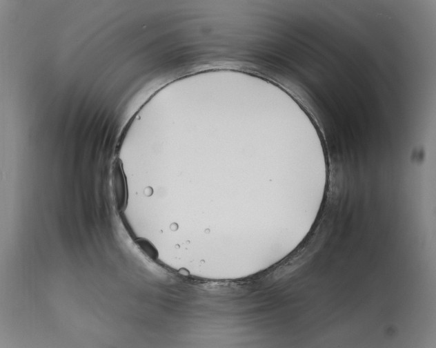X0000112370906200909241146