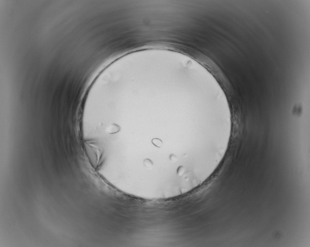 X0000112370908200909241146