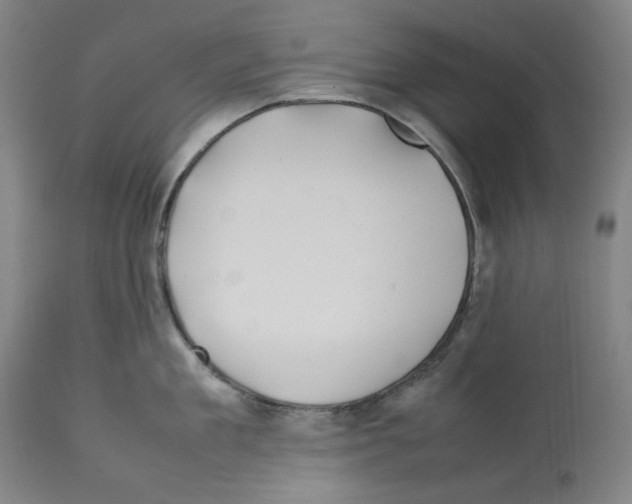 X0000112370909200909241146
