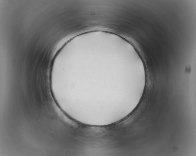 X0000112370910200909241146