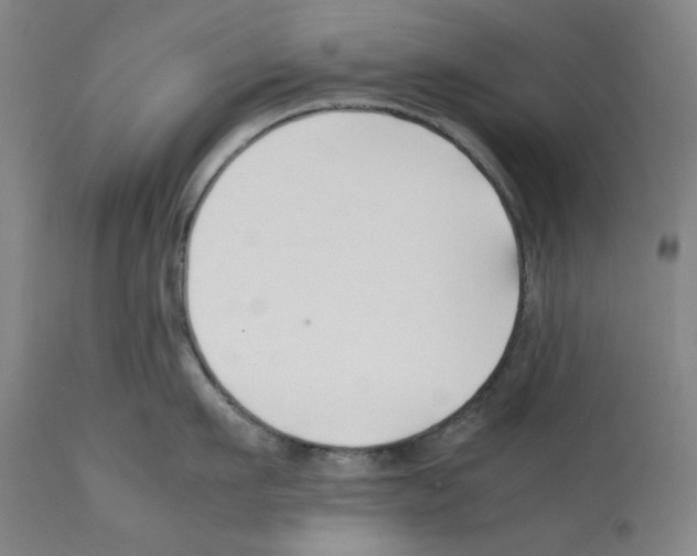 X0000112370911200909241146