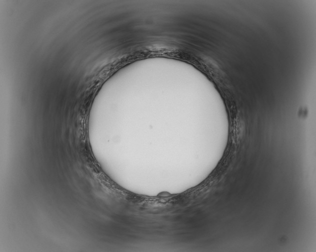 X0000112370917200909241146