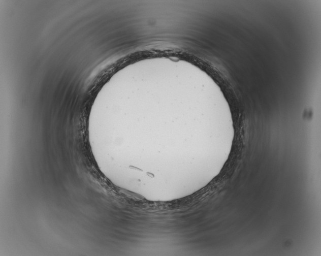 X0000112370920200909241146
