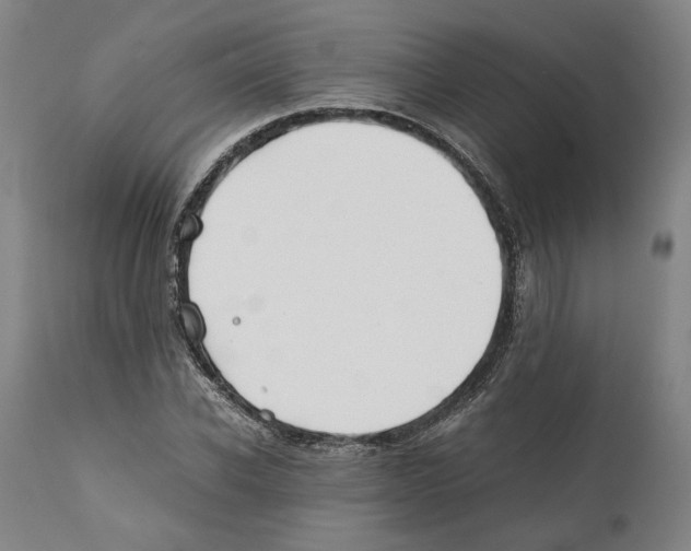 X0000112370926200909241146