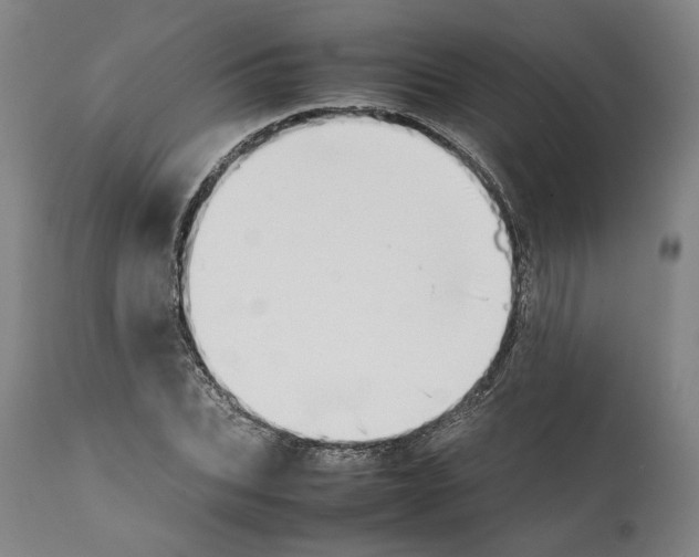 X0000112370927200909241146