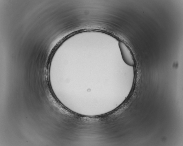 X0000112370928200909241146