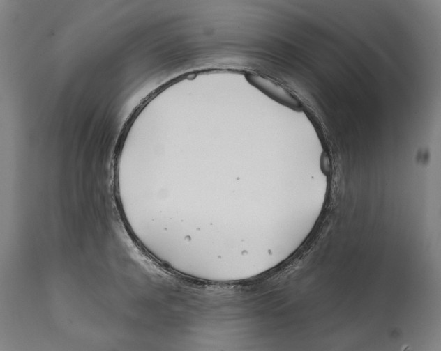 X0000112370944200909241146