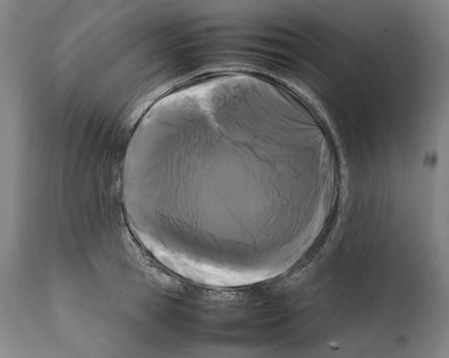 X0000112370945200909241146