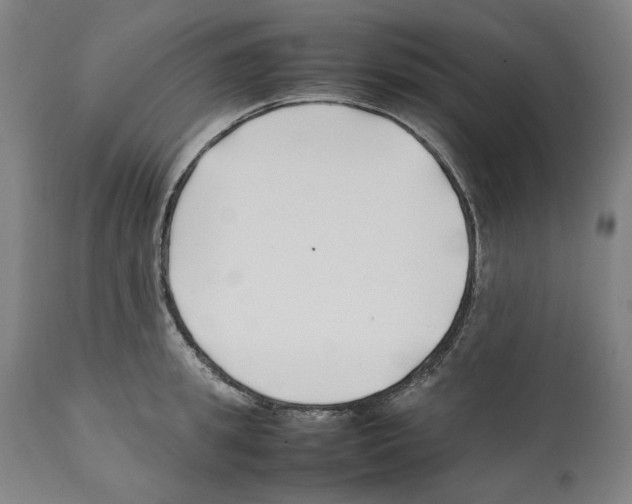 X0000112370949200909241146