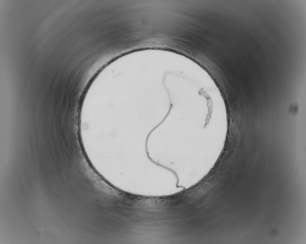 X0000112370950200909241146