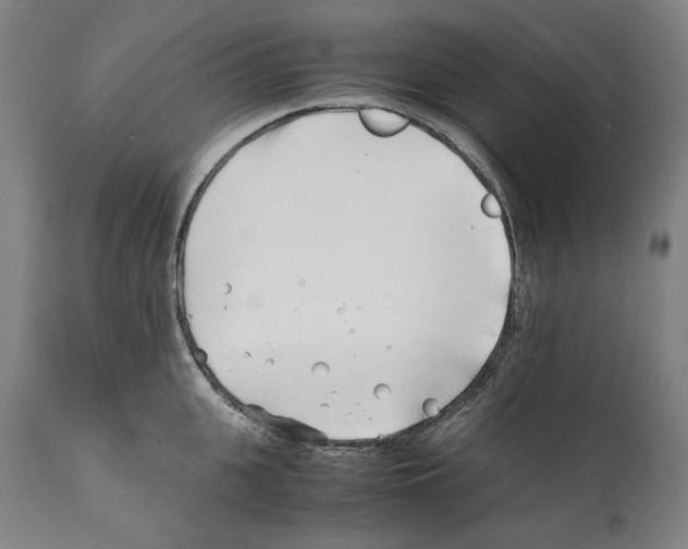X0000112370951200909241146