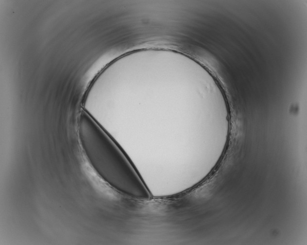 X0000112370952200909241146