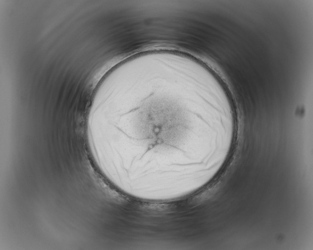X0000112370953200909241146