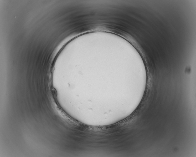 X0000112370955200909241146