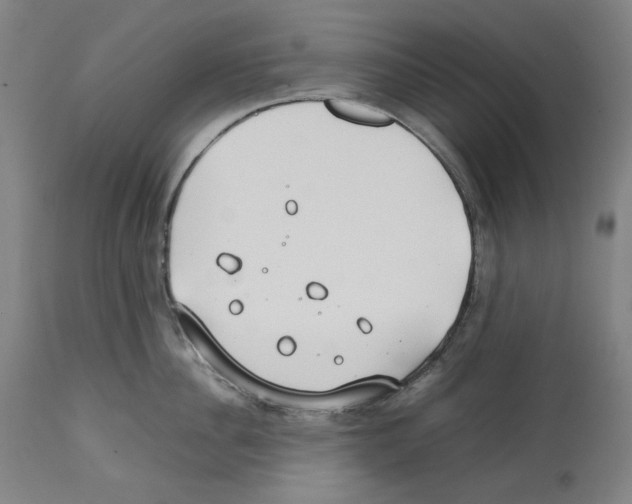 X0000112370956200909241146