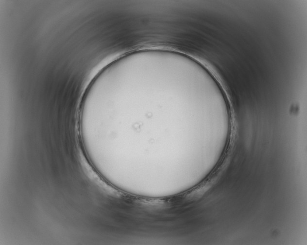 X0000112370957200909241146