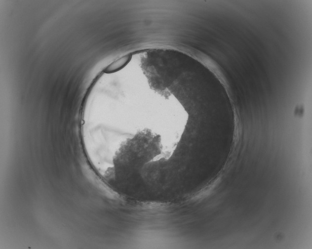 X0000112370958200909241146
