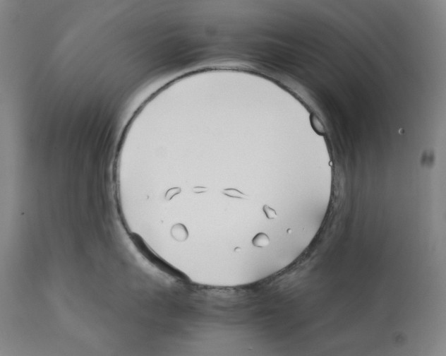 X0000112370959200909241146