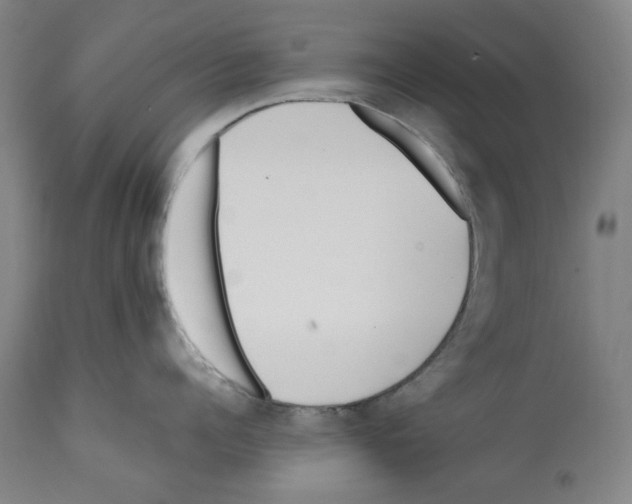 X0000112370960200909241146