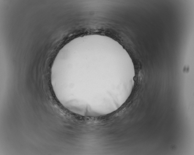 X0000112370961200909241146