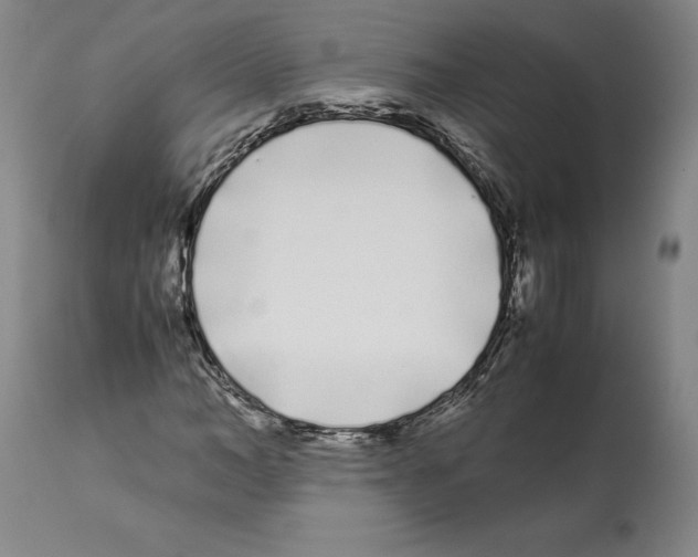 X0000112370966200909241146