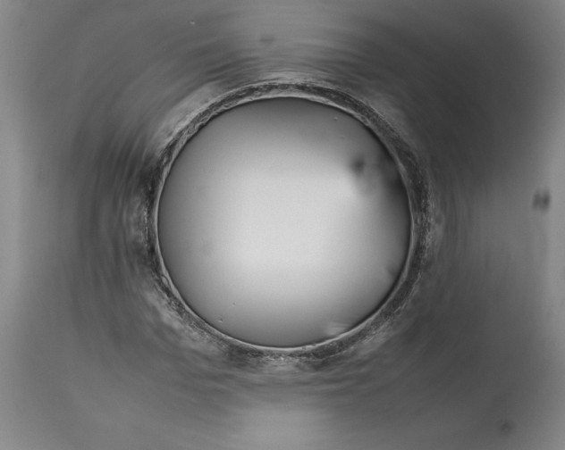 X0000112370969200909241146