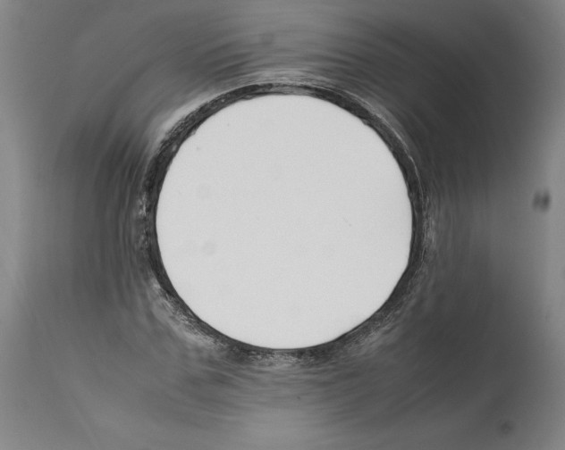 X0000112370971200909241146