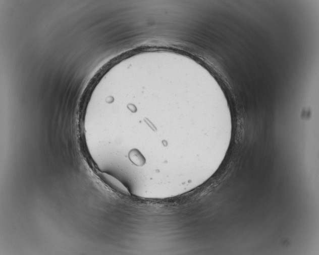 X0000112370976200909241146