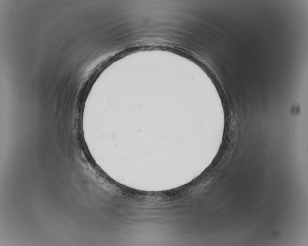 X0000112370979200909241145
