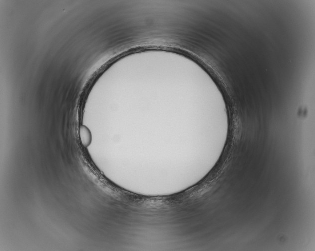 X0000112370982200909241145