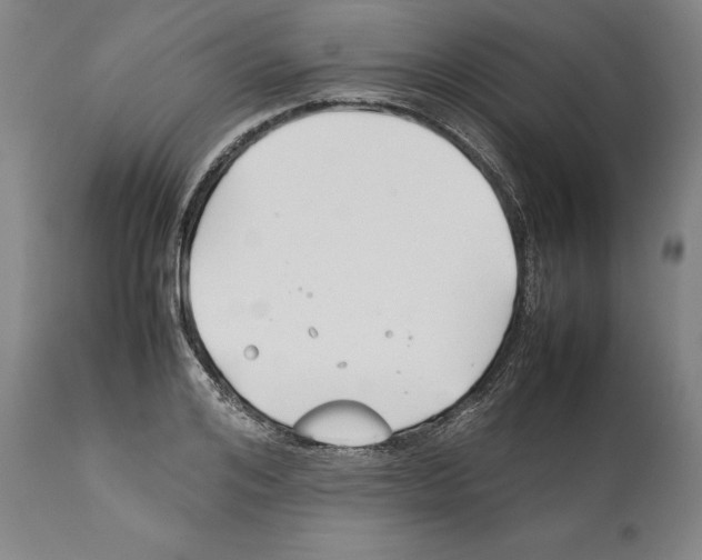 X0000112370984200909241145