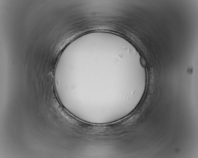 X0000112370985200909241145