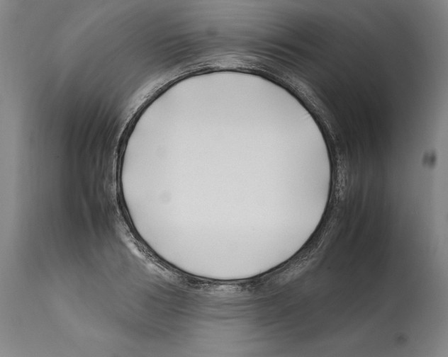 X0000112370986200909241145