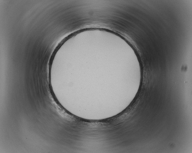X0000112370988200909241145