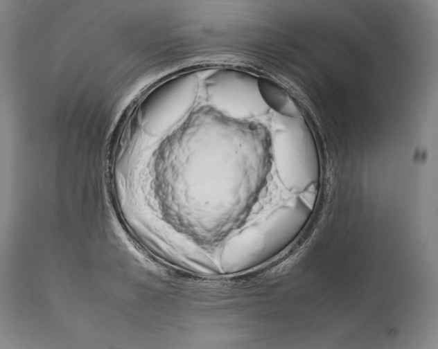 X0000112370989200909241145