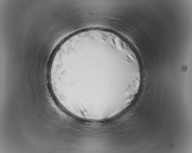 X0000112370991200909241145