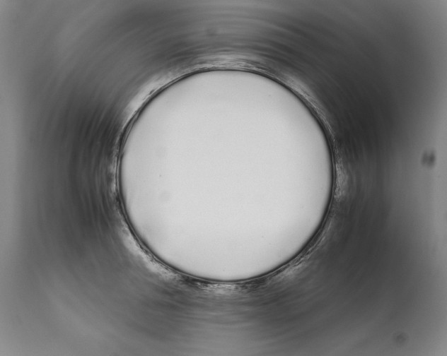 X0000112370994200909241145