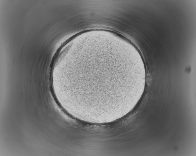 X0000112370995200909241145