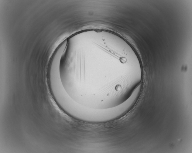 X0000112370997200909241145